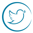 Logotipo Twitter Fundación MÁS QUE IDEAS