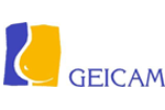 geicam logo